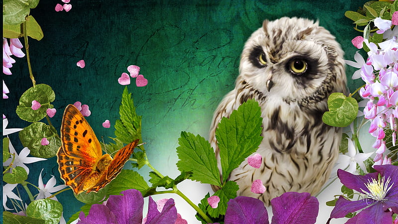 Owl & Butterfly, owl, butterfly, bird, green, summer, flowers, spring, corazones, HD wallpaper