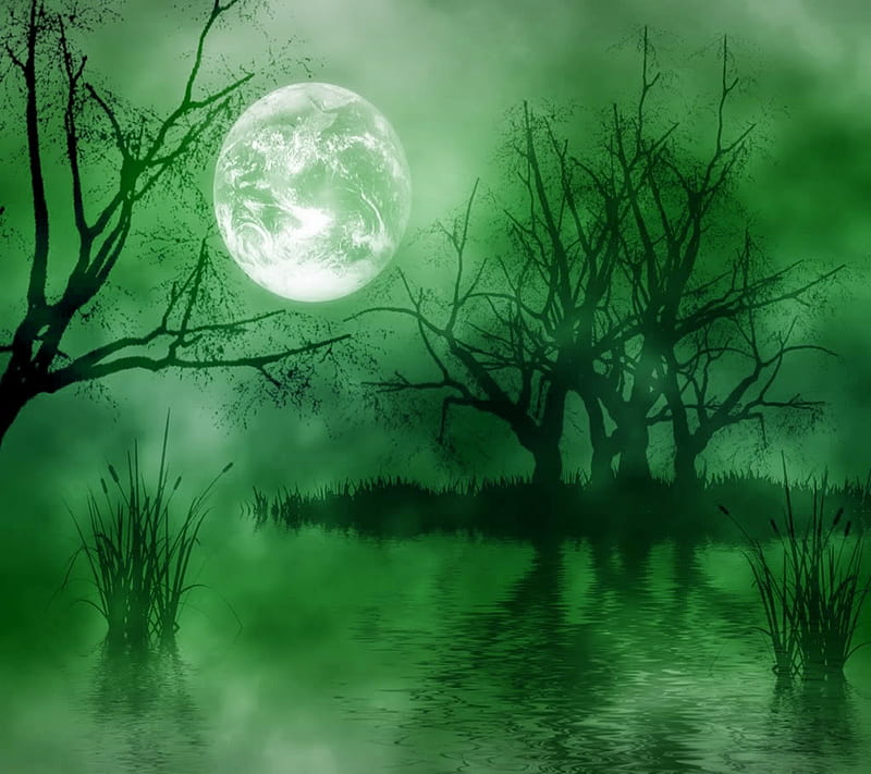 Full Moon Landscape, full moon, HD wallpaper