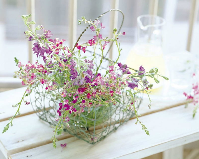 Beautiful Flowers, glass, flowers, window, bloom, HD wallpaper
