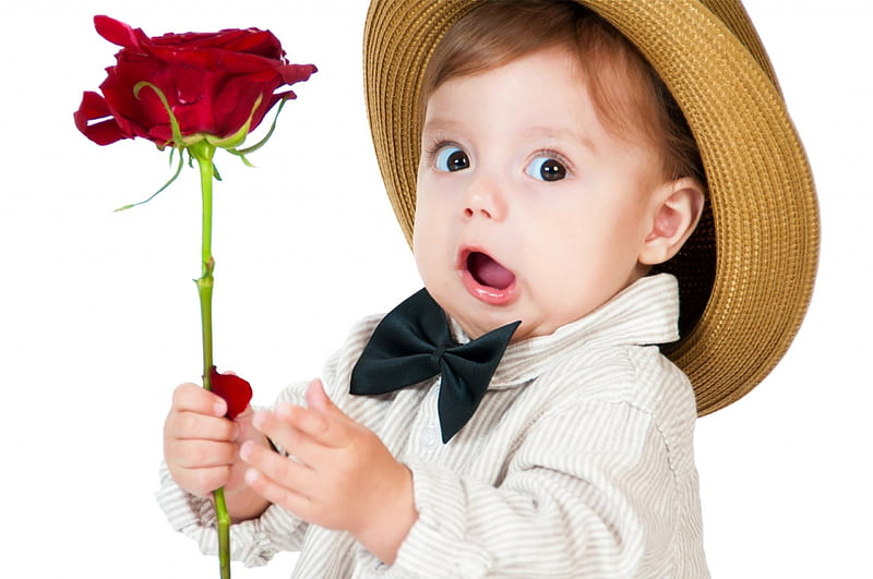 It's Valentine's Day!, red, rose, black, valentine, hat, cute, boy, flower, funny, surprised, white, HD wallpaper