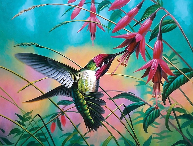 Hummingbird Haven, art, leaves, bird, plant, colors, flower, blossoms, fuchsia, digital, HD wallpaper
