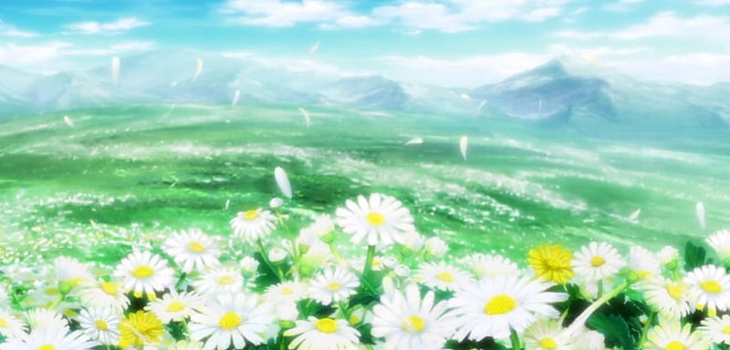 Flower Field, nisekoi, bonito, floral, sweet, mountain, scnic, blossom,  green, HD wallpaper | Peakpx