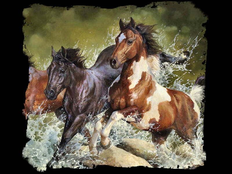 A Splash of Wild Horses F2mp, art, paint, equine, black, pinto, horses, wild, painting, bonnie marris, wildlife, marris, bay, HD wallpaper