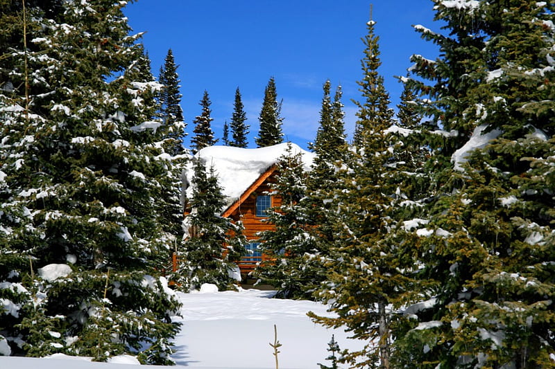 Winter cabin, pretty, hut, house, chalet, cottage, cabin, bonito, nice, rest, lovely, holiday, sky, trees, winter, icy, snow, nature, frozen, HD wallpaper