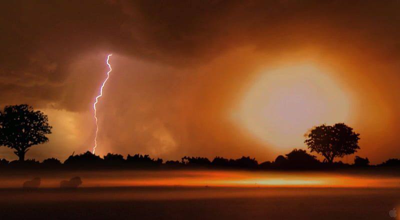 Lightning Strikes in the Savanna, Lightning Lion, HD wallpaper