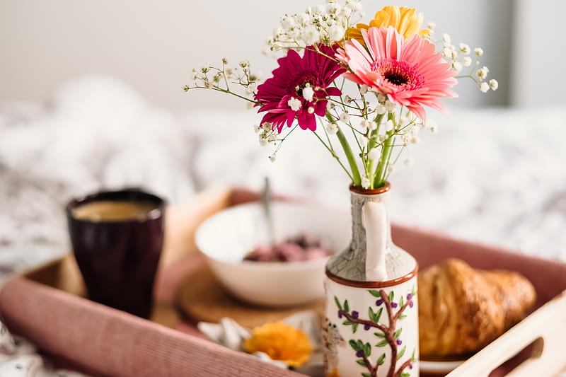 selective focus graphy of pink petaled daisy flower in vase, HD wallpaper
