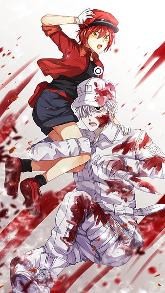 Cells at Work White Blood Cell Anime HD 4K Wallpaper #5.3021