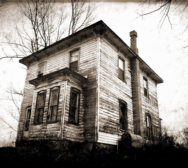 Swamp House, black, creepy, halloween, old, scary, vintage, white, HD wallpaper