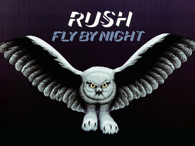 Fly By Night, owl, rush, blue, music, HD wallpaper
