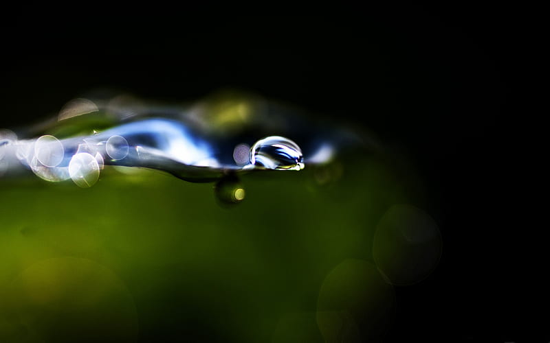 liquidity-Macro graphy Series, HD wallpaper