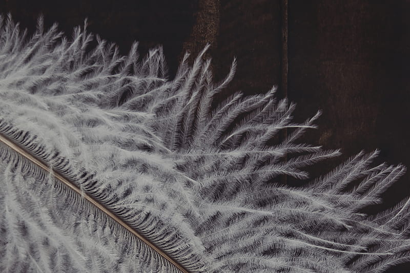 white fuzzy textile, HD wallpaper
