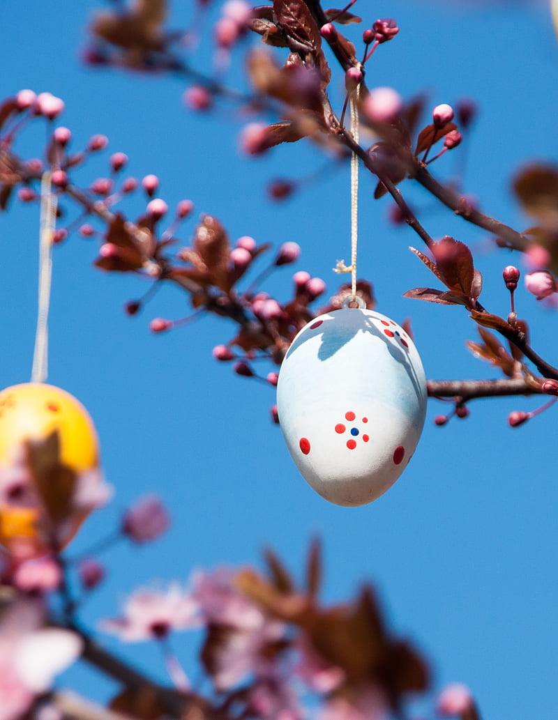easter, egg, spring, holiday, decoration, branches, HD phone wallpaper