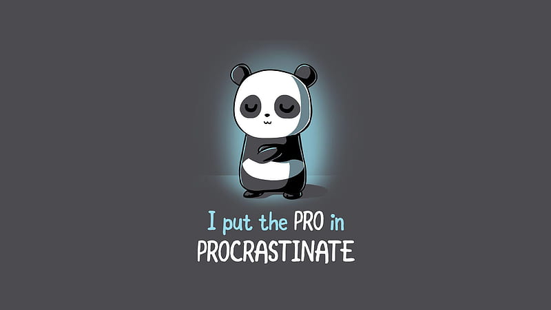 Pro Procrastinate, Pro, Procrastinate, funny, CG, HD wallpaper