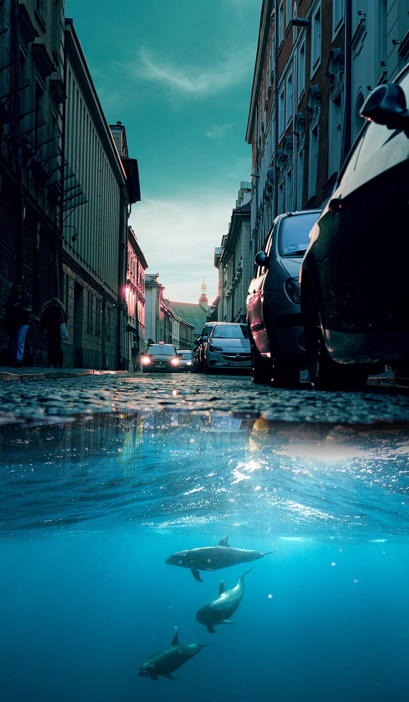 UNDERGROUND WATER, car, city, cloud, fish, light, sky, street, HD phone wallpaper
