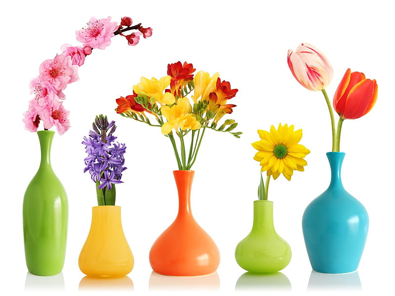 Colorful Flowers Vases, green, orange, flowers, yellow, vase, blue, HD wallpaper