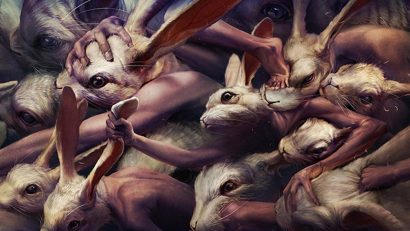 Creative, struggle, art, human, rabbits, HD wallpaper