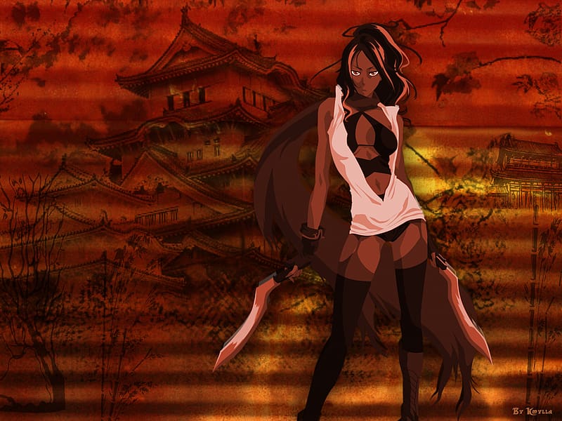 Anime, Bleach, Yoruichi Shihôin, HD wallpaper
