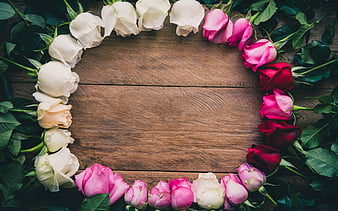 frame of roses, beautiful flowers, wooden background, flower frame, roses, HD wallpaper