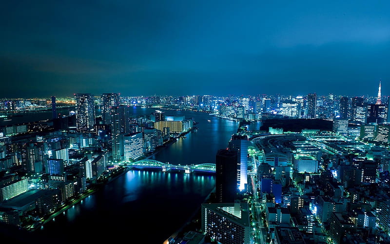 Night Time in Tokyo, japan, city, bridge, tokyo, lights, night, skyscrapers, HD wallpaper