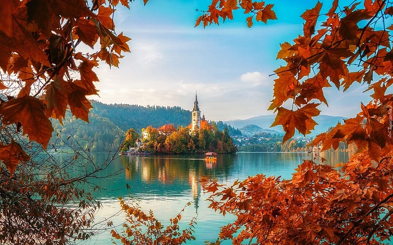Lake Bled, Slovenia, island, Bled, maple, autumn, mountains, church, lake, Slovenia, HD wallpaper