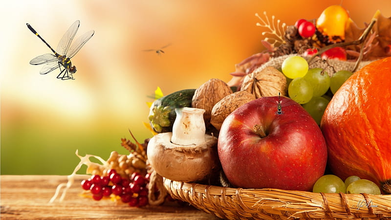 Harvest Basket, walnuts, fall, harvest, food, crop, fruit, grapes, Thanksgiving, basket, dragonfly, mushrooms, Autumn, HD wallpaper