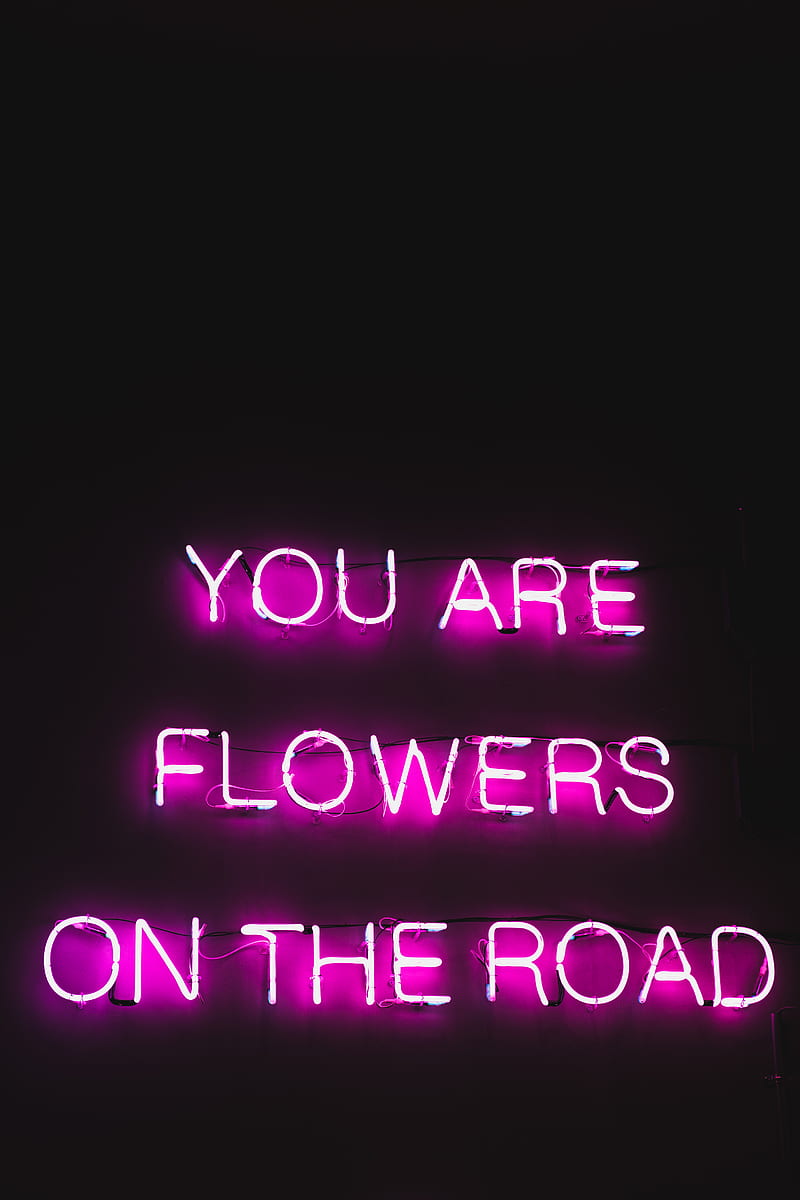 Pink color neon glowing text with poetic and inspiring words You are  flowers on the road on black background, HD phone wallpaper | Peakpx