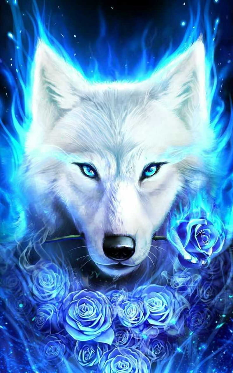 Cute Blue Wolf, Cute Baby Wolves, HD phone wallpaper