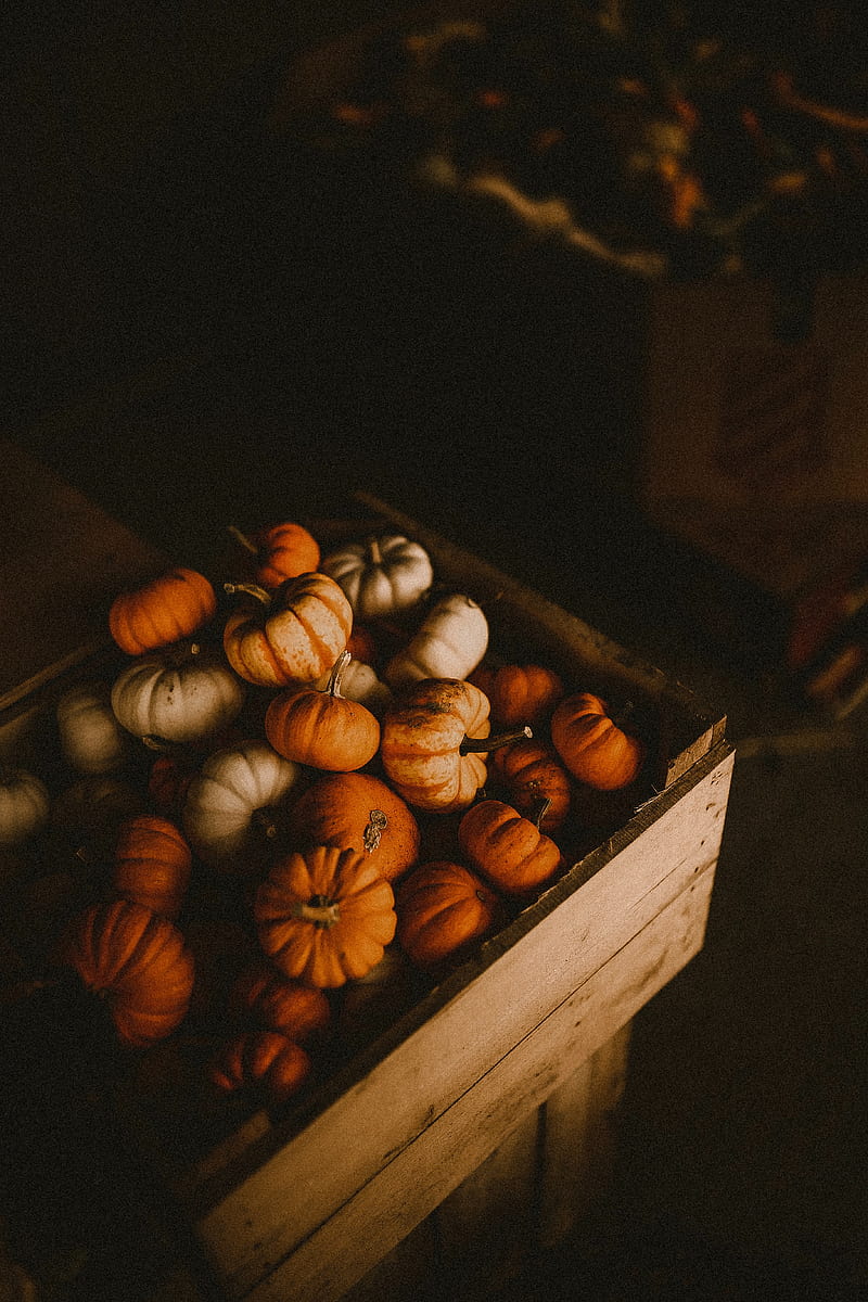 pumpkin, box, harvest, ripe, HD phone wallpaper