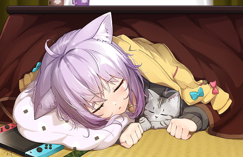 Anime, Cat, Sleeping, Purple Hair, Animal Ears, Virtual Youtuber, Hololive, Nekomata Okayu, HD wallpaper