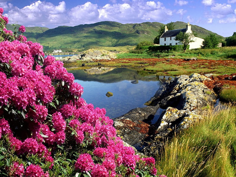 Scottish Landscape, house, water, mountains, flowers, scottish, beautifullandscape, HD wallpaper