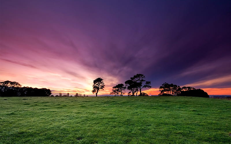New Zealand-Beautiful Morning Sunrise at Cornwall Park-Auckland, HD wallpaper