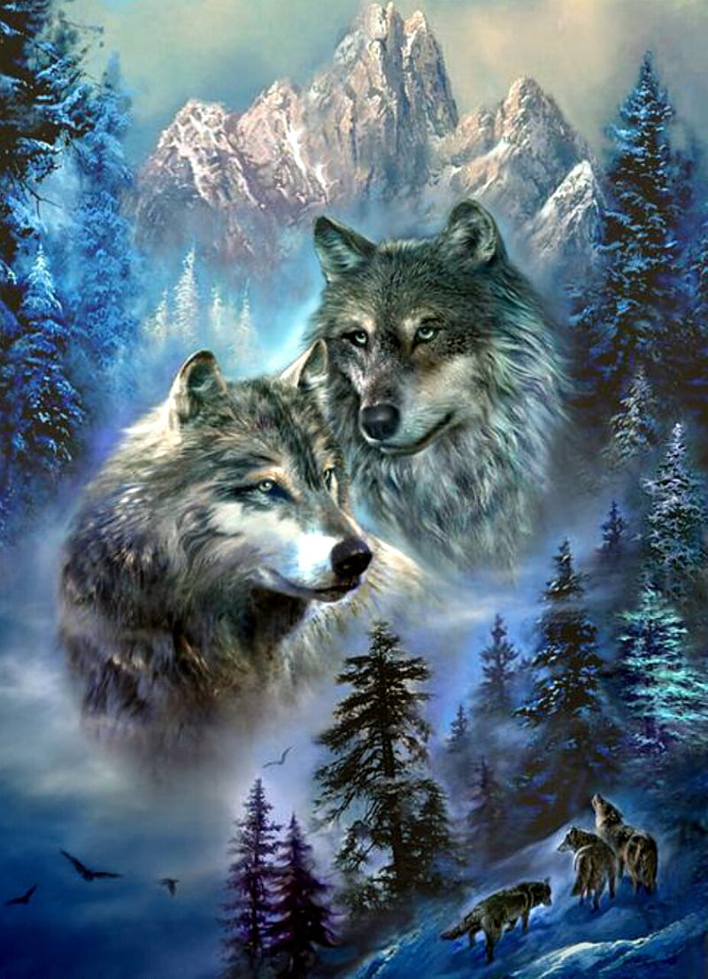 Mountain Wolf Pack, wolves, HD phone wallpaper