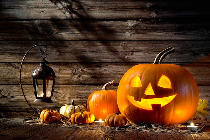 Happy Halloween, candle, autumn, graphy, lantern, halloween, jack o lantern, pumpkin, HD wallpaper