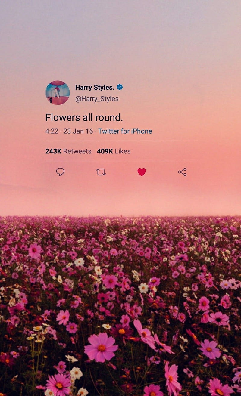 Harry Styles Album, HD phone wallpaper | Peakpx