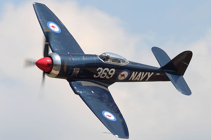 Hawker Sea Fury, Warbirds, British Aircraft, History, HD wallpaper