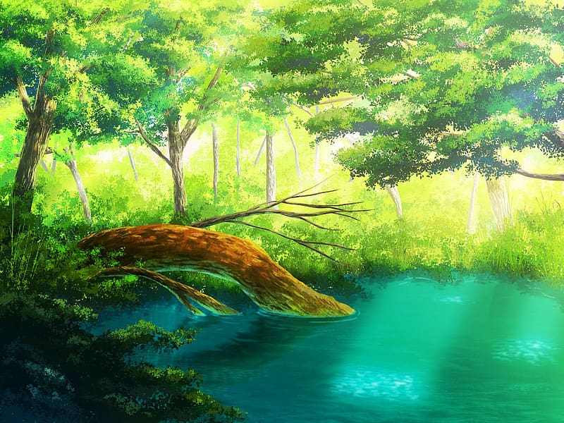 Minazukijev dom HD-wallpaper-anime-forest-tree