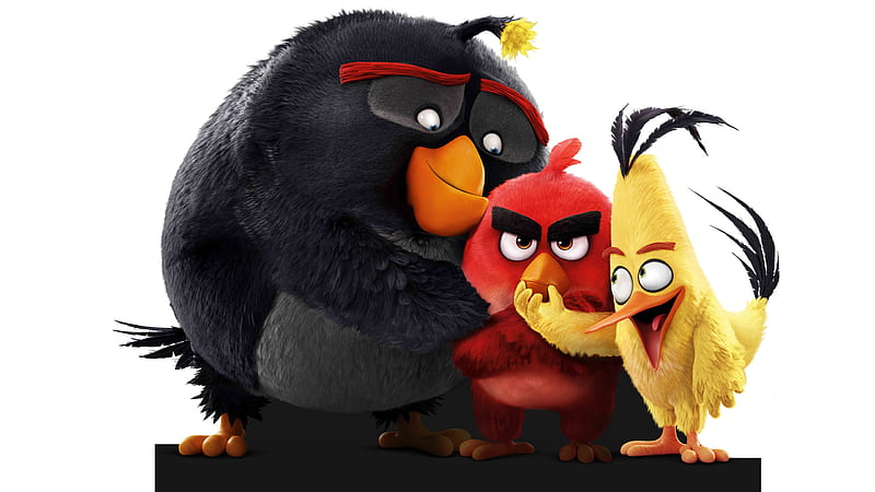 The Angry Birds , angry-birds, birds, movies, animated-movies, 2016-movies, the-angry-birds-movie, HD wallpaper