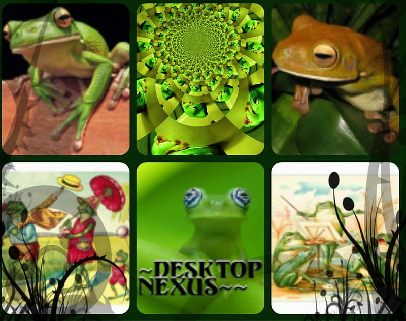 Croaking Collage, croak, frogs, collage, animals, HD wallpaper