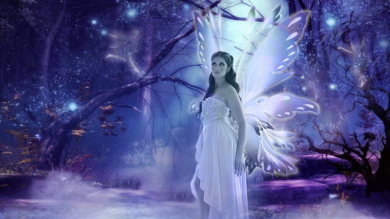 Forest Fairy, fairy, stars, forest, wings, girl, beauty, magical, trees ...