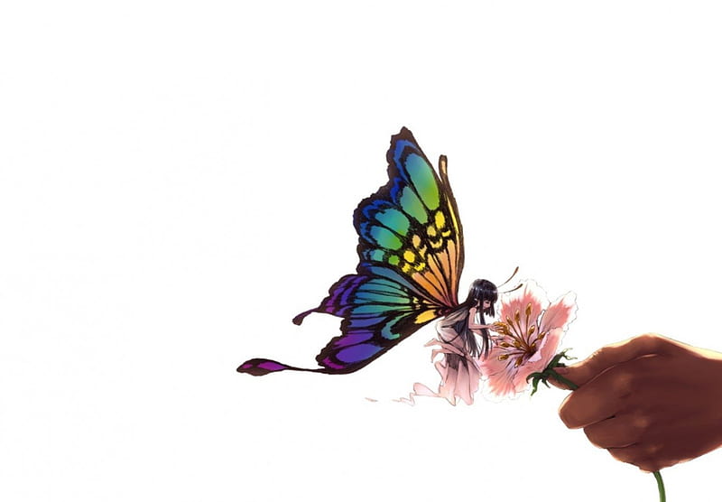Butterfly on a flower, red, pretty, dress, orange, yellow, bonito, sweet, butterfly, green, anime, hand, beauty, pink, fairy, blue, wings, lovely, black, cute, girl, purple, multicolored, white, HD wallpaper