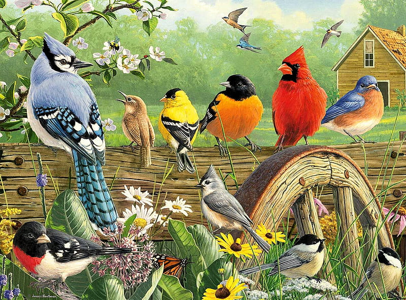 Spring Gathering, fence, chickadee, blossoms, birds, bluejay, finch, artwork, cardinal, bluebird, HD wallpaper