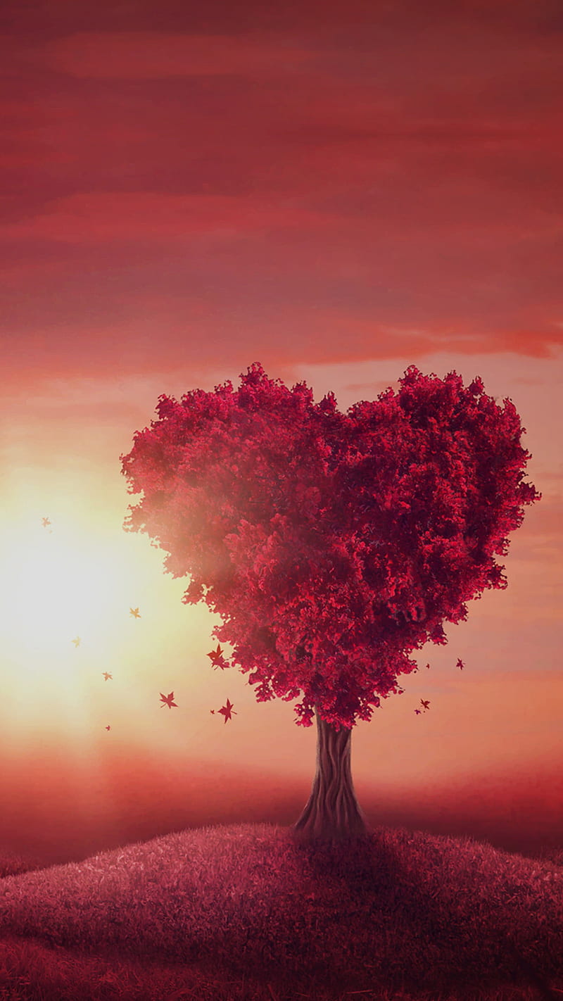 Love tree, nature, HD phone wallpaper
