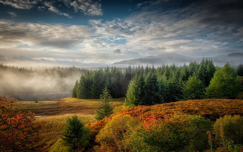 Scottish Landscape, forests, Scotland, landscape, hills, fields, mists, HD wallpaper