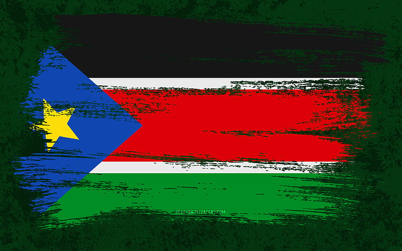 Court Rules Display of South Africas Apartheid Flag Is Racist  Bloomberg