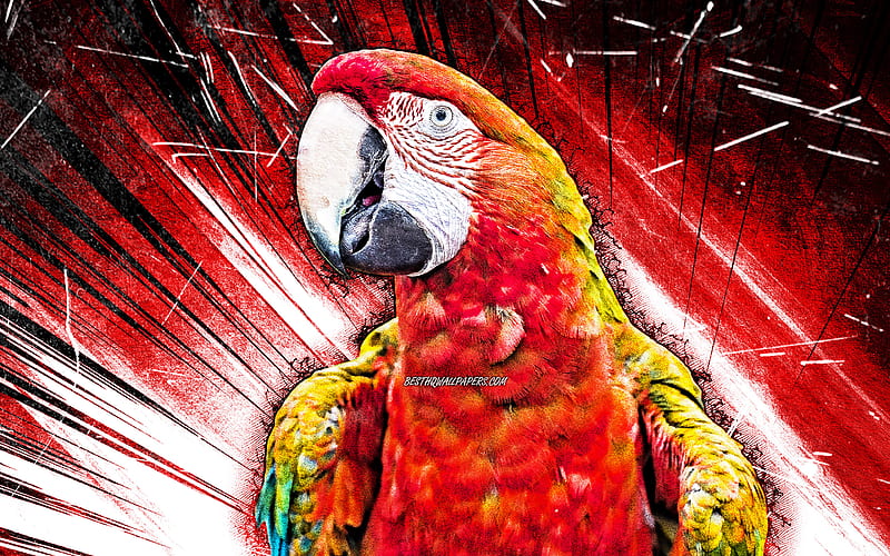 Scarlet macaw, grunge art, red parrot, Ara macao, red abstract rays, creative, parrots, Ara, HD wallpaper