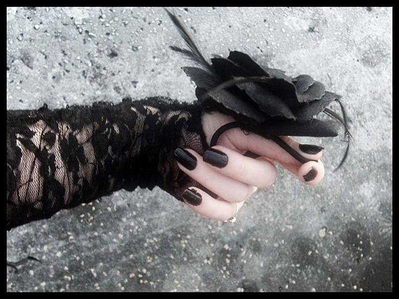 Сонник черные руки. Ведьма с розой. Шип розы когти. Черный Заноза растения.
