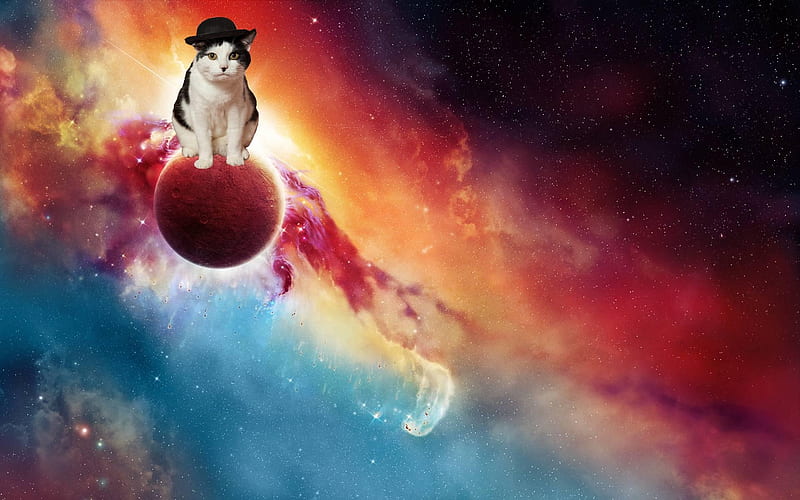 spaced out cat, planet, nebula, space, cat, hat, HD wallpaper