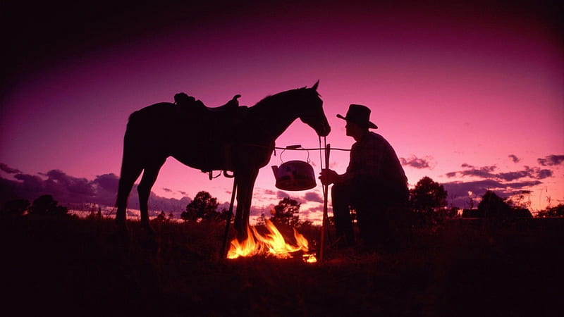 cowboy sunset, bon fire, coffe, sunset, horse, cowboy, HD wallpaper