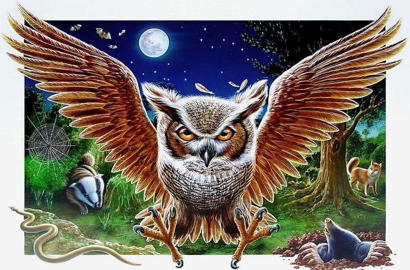 Tawny Owl, art, mole, moon, wings, fox, bird, raptor, night, HD wallpaper