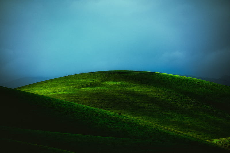 hill, field, green, landscape, HD wallpaper